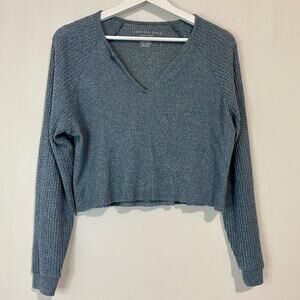 American Eagle Womens Soft and Sexy Collection Sweater V-neck Blue/Gray XS